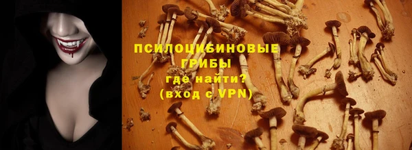 прущая мука Кукмор