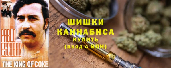 PSILOCYBIN Краснослободск
