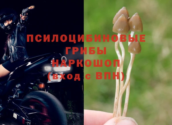 ECSTASY Краснотурьинск