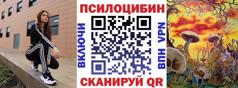 Купить где  Чебаркуль  Галлюциногенные грибы Psilocybe 